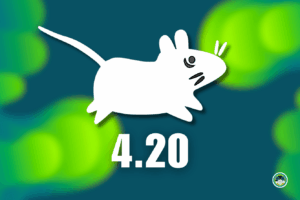 Understanding the WhatsApp Zero-Click DNG Exploit: What Happened, Why It Matters, and How to Protect Yourself