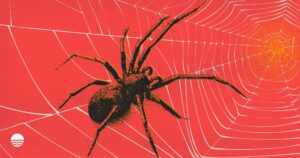 SIM Swapping in 2025: Attack Tactics and Effective Mitigation Steps for Users