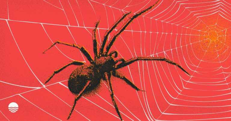 SIM Swapping in 2025: Attack Tactics and Effective Mitigation Steps for Users