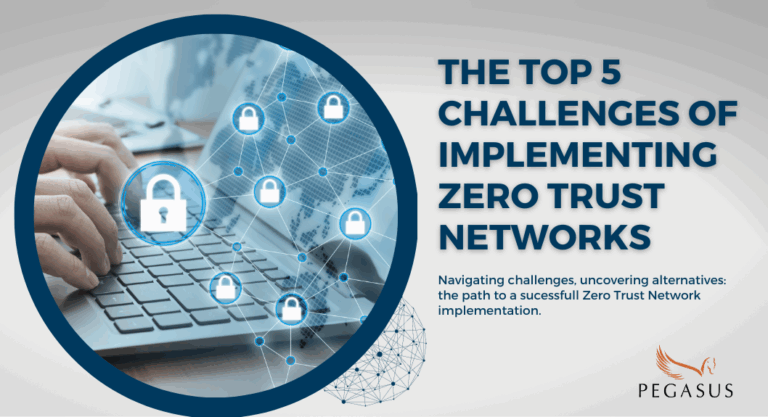Zero Trust Models in Corporate Networks: Setup, Challenges and Common Pitfalls [2025]