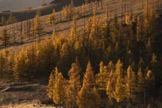 Comprehensive Guide to Antivirus Software: Protection, Features, and Considerations