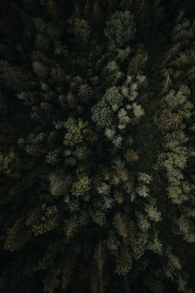 Bettercap Beginner’s Guide: Master Network Reconnaissance and MiTM Attacks