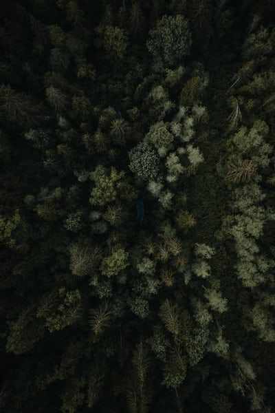 Enhancing Cybersecurity Through Secure Browsing Practices