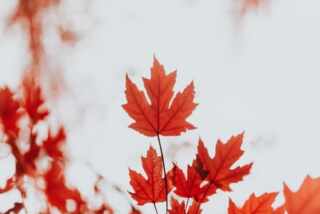 Title: Insights into Union-Busting Practices at Rockstar Games