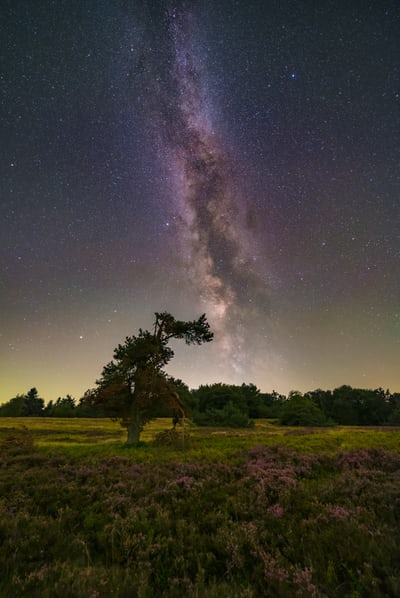 Hidden Cybersecurity Risks of Social Media Use: Protect Yourself Today