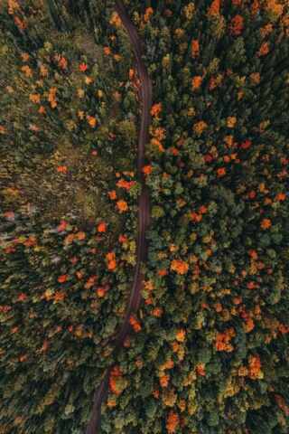 A Glimpse into KoDDoS’ VivaTech 2025: Pioneering Offshore Hosting and…