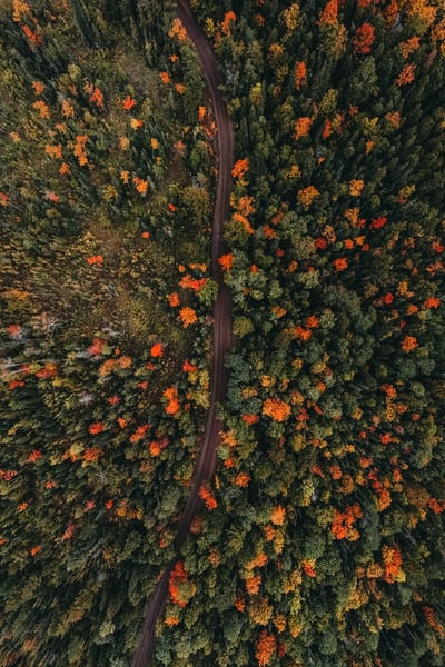 A Glimpse into KoDDoS’ VivaTech 2025: Pioneering Offshore Hosting and…