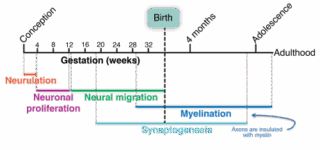 AI and Browser Security: 5 Critical Threats That Must Be Addressed in 2026