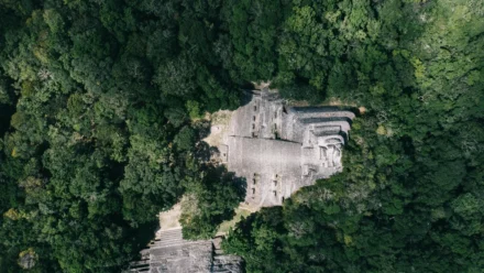 Marc Andreessen: From Netscape Pioneer to Silicon Valley’s Philosophical Zombie