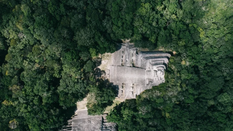 Marc Andreessen: From Netscape Pioneer to Silicon Valley’s Philosophical Zombie