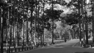 U.S. Prosecutors Charge Three Individuals Over Alleged Smuggling of Billions‑Dollar AI Chips to China