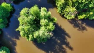 Patreon CEO Jack Conte Slams AI Firms Over Unfair Artist Compensation Practices