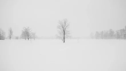 Crimson Desert’s AI Art Controversy: A Closer Look at the Debate