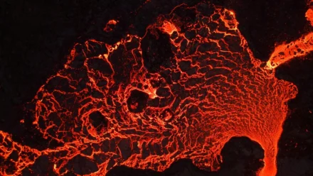 Pinterest CEO Advocates for Global Age Restrictions on Social Media Platforms