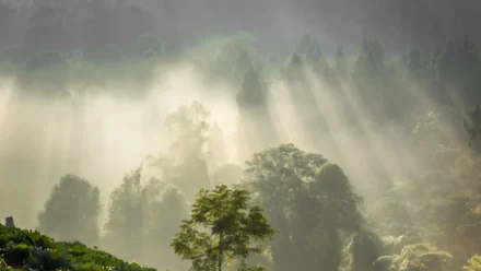 BYD’s Asian Expansion: A Green Energy Surge Amid Global Oil Turmoil