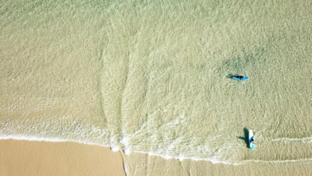 Microsoft Reconsiders Windows Copilot Integration After User Feedback