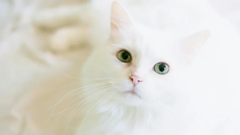 The Rise of the High-Tech Scarecrow: How Autonomous Security Robots Are Changing Public Safety