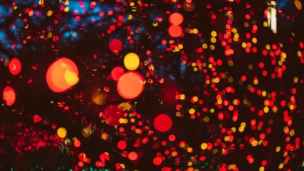 Breakthrough in Cartilage Regeneration: Scientists Edge Closer to Healing Joints