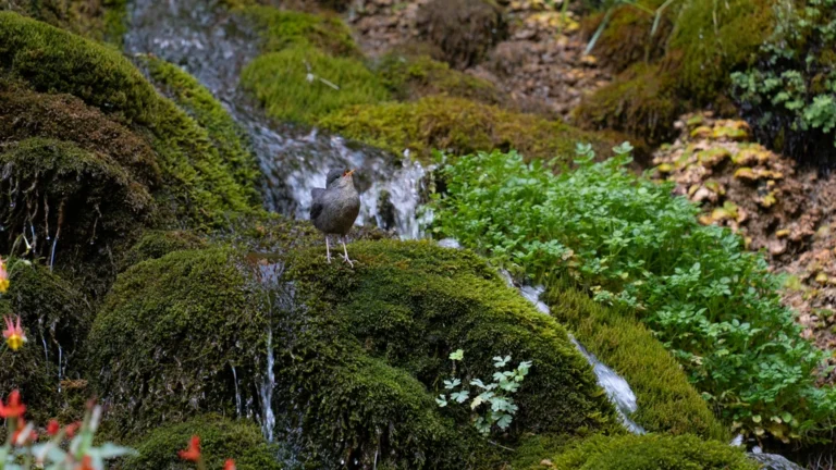 Mojang and Merlin Entertainment Announce “Minecraft World” Theme Park Set to Open in 2027