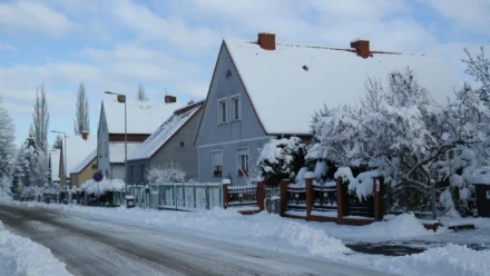 Resident Evil’s 30th Anniversary: A Journey Through Horror and Erotic Thrills