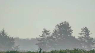 The White House Unveils a Comprehensive Framework for Artificial Intelligence Regulation