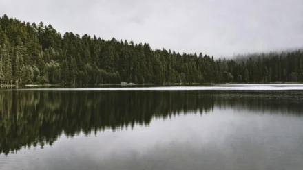 GrapheneOS Stands Firm Against Age Verification Mandates, Prioritizing User Privacy