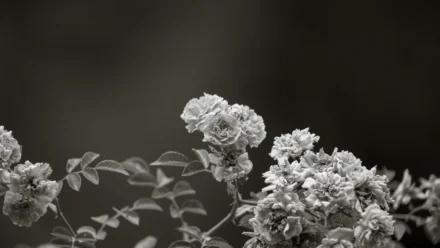 Unearth Terrifying Deals: Steam’s Spring Sale Slashes Prices on Essential Horror Games