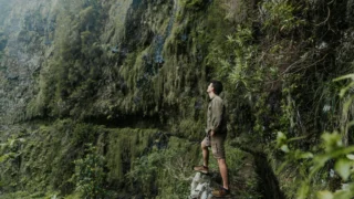 Microsoft’s File Explorer Overhaul: Speed, Navigation, and Search Improvements on the Horizon