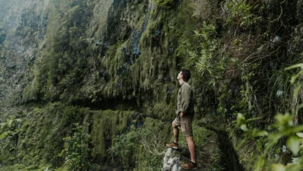 Microsoft’s File Explorer Overhaul: Speed, Navigation, and Search Improvements on the Horizon