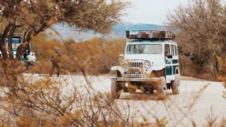 Former Blizzard President Mike Ybarra Dismisses AI Complaints, Urges Game Developers to Accept AI as Inevitable