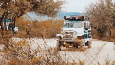 Former Blizzard President Mike Ybarra Dismisses AI Complaints, Urges Game Developers to Accept AI as Inevitable