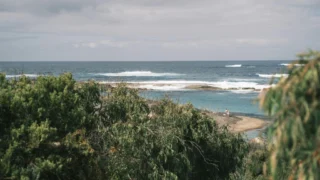 Capcom Declares No AI‑Generated Content in Games, Yet Plans to Leverage Technology for Production Efficiency