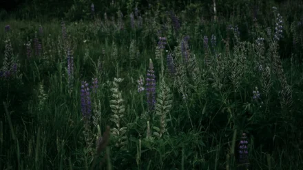 Unlock System Insights: A Beginner’s Guide to osquery