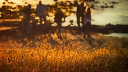 Cyber Espionage Campaign Leverages AsyncRAT to Target Libya’s Critical Infrastructure