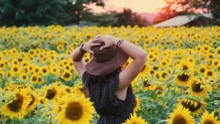 The Human Element: Why Resisting AI is a Battle for Our Identity