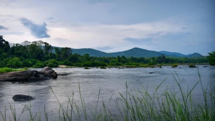 Every Mainline Resident Evil Game Ranked Worst to Best on the Franchise’s 30th Birthday