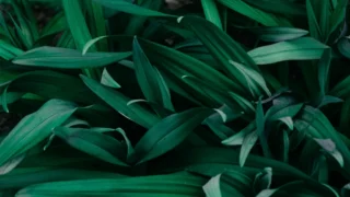 AI Art in Games Sparks Debate Over Placeholder Assets and Quality Control