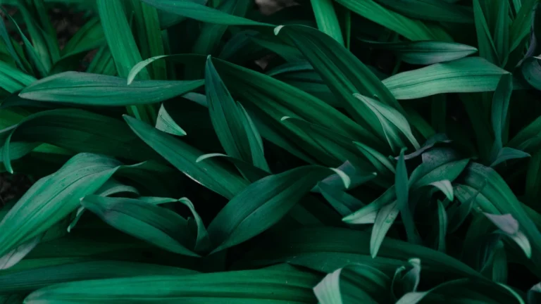 AI Art in Games Sparks Debate Over Placeholder Assets and Quality Control