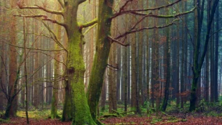 The Super Mario Galaxy Movie: A Potential Game-Changing Twist Revealed by UK Ratings Board