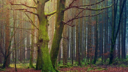 The Super Mario Galaxy Movie: A Potential Game-Changing Twist Revealed by UK Ratings Board