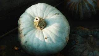 Dark Web CSAM Network Dismantled: 373,000 Sites Brought Down in Historic Operation