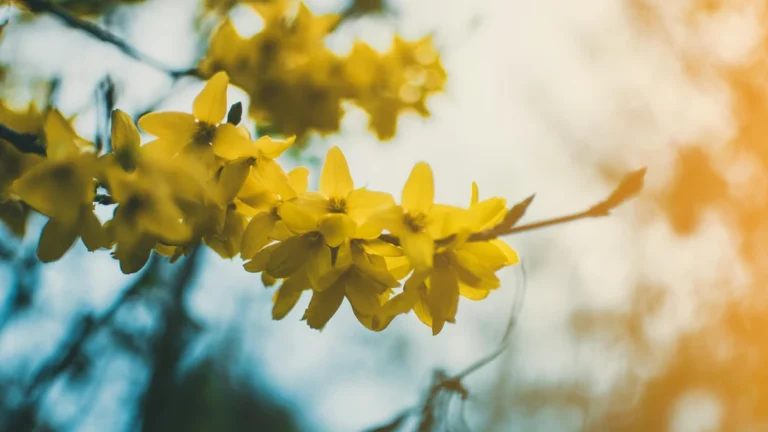 Teen Innovator Develops Low-Cost Water Filter Capable of Eliminating 96% of Microplastics