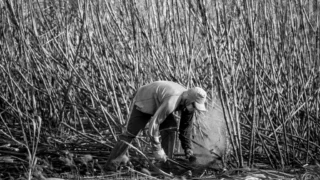 The Apple Store Pricing Paradox: Why SanDisk SSDs Are Costing a Fortune