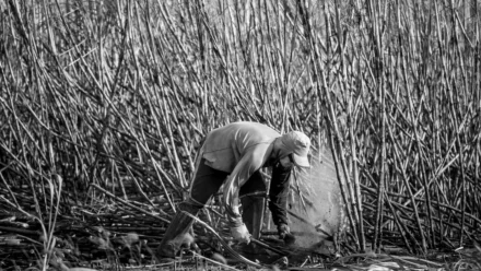 The Apple Store Pricing Paradox: Why SanDisk SSDs Are Costing a Fortune