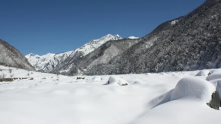 Electronic Arts Shuts Down Battlefield Hardline on Consoles: A Legacy of Controversy