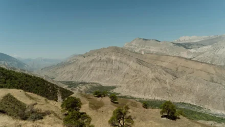 Nvidia’s Jensen Huang Clarifies His Stance on AI Slop and Reaffirms DLSS 5 Is a Developer Tool, Not a Game‑Changing Feature