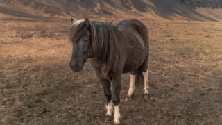 Yann LeCun’s $1 Billion Bet on AI That Understands the Real World