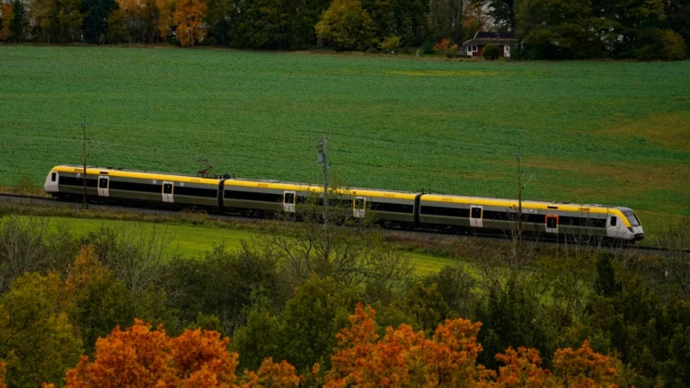 The Ray-Ban Meta Creep: How Social Media Influencers Are Redefining Cool