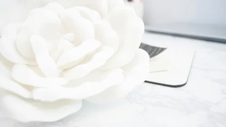 A Billion-Dollar Deal: US Pays TotalEnergies to Halt Offshore Wind Projects